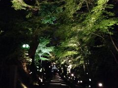 高台寺の夜の拝観です

この日、デジカメを忘れ、携帯のみの撮影。。
わかりにくい・・