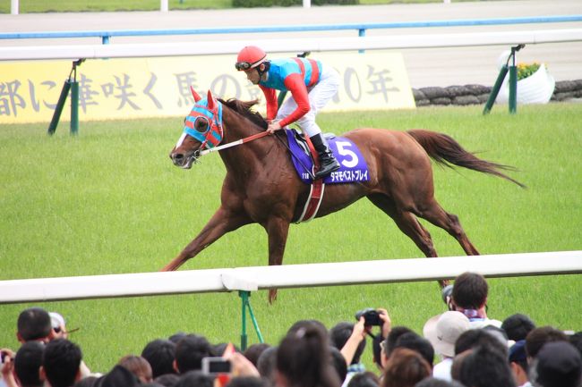 大量入荷 Jra京都競馬場 15年 平成27年 第151回天皇賞 春 記念入場券 フェノーメノ掲載 Lacistitis Es