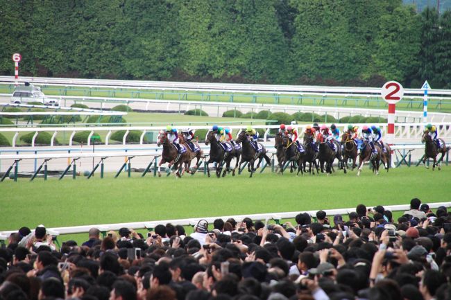大量入荷 Jra京都競馬場 15年 平成27年 第151回天皇賞 春 記念入場券 フェノーメノ掲載 Lacistitis Es