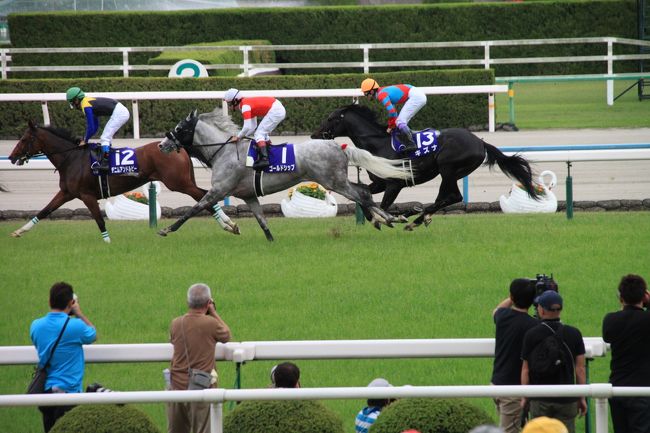 Jra京都競馬場 15年 平成27年 第151回天皇賞 春 記念入場券 フェノーメノ掲載 Sale 79 Off