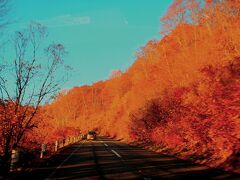 西吾妻スカイバレー
紅葉は終盤といった感じですが、秋の夕日に映えます。