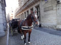 「小便小僧」から「グランプラス」に向かいます。
「セルクラースの像」の前には、観光用の馬車が止まっていました♪