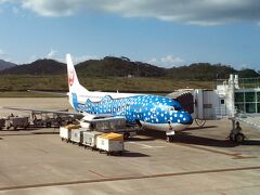 石垣島まではJAL
ジンベエザメ？　こっちも遅れが30分
