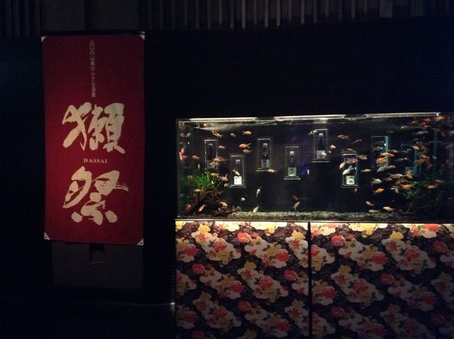 獺祭　アートアクリウム　コラボ　限定 日本橋アートアクアリウム展で獺祭＆金魚鑑賞～』日本橋(東京)の