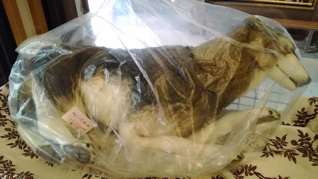 秩父 三峰神社でパワーをいただく 秩父 埼玉県 の旅行記 ブログ By クラウディアさん フォートラベル