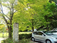 八雲神社脇には足利公園があり紅葉の名所となっています。
訪れたときはまだ紅葉には早かったですが、見頃になるととても賑わうようです。