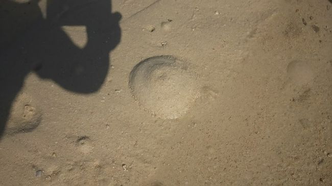 こんな穴ぼこがいっぱいありました。<br />何かが出てきたのかな？