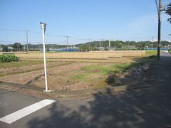 寺家ふるさと村に着きました。寺家ふるさと村の谷戸では、寺家ふるさと村体験農業振興組合員による稲の栽培が、昔ながらの手法で行われています。私が訪れた時は、稲刈りや、稲干しの作業が行われていました。