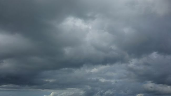 今日の天気はどんよりしていて涼しいので、このままフサキビーチで遊ぶ事にしました。