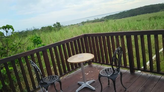 高台にあるので眺めが最高♡