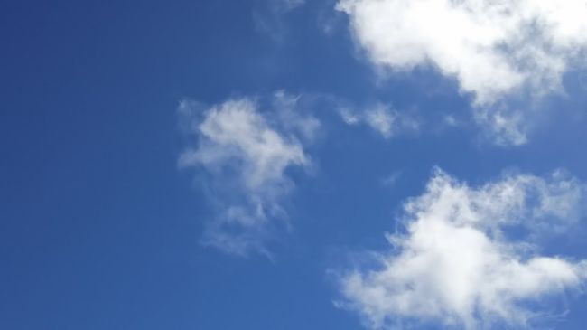 天気もスカっと晴れてガッツリ日焼けしてしまいました。<br />１０月でも日焼け対策は怠らずに。<br /><br />帰りにユーグレナモールでお土産を買って、タダ券をもらったミルミル本舗のアイスを食べて帰りました。