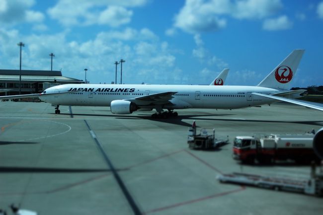 カメラで遊んでみました<br /><br />これはジオラマ風に飛行機を一枚