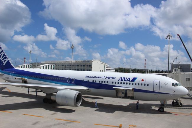 青い空と飛行機が映えます