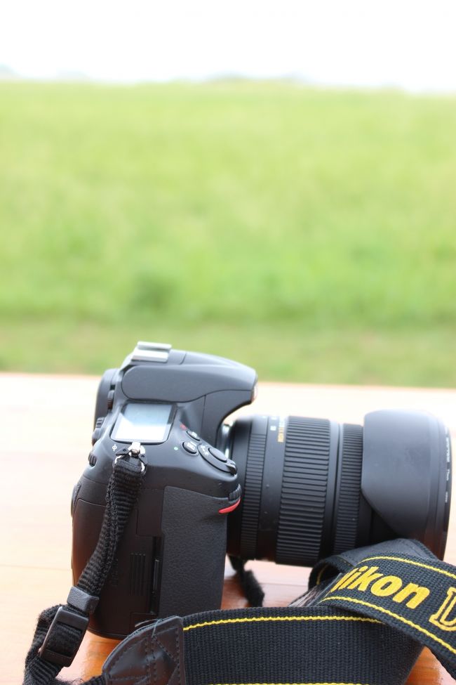 上三枚はこのカメラで<br /><br />