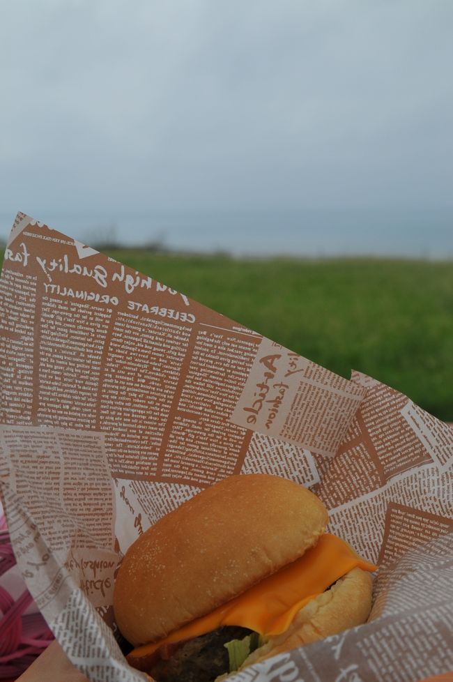 ちょいとピンボケしてしまい