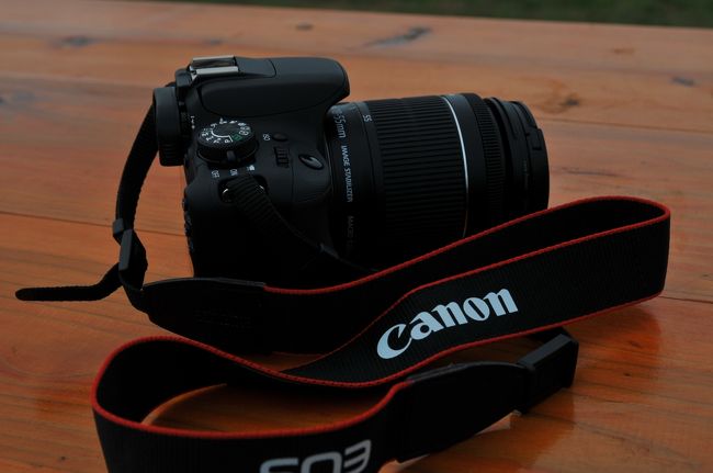 上の二枚はこのカメラ