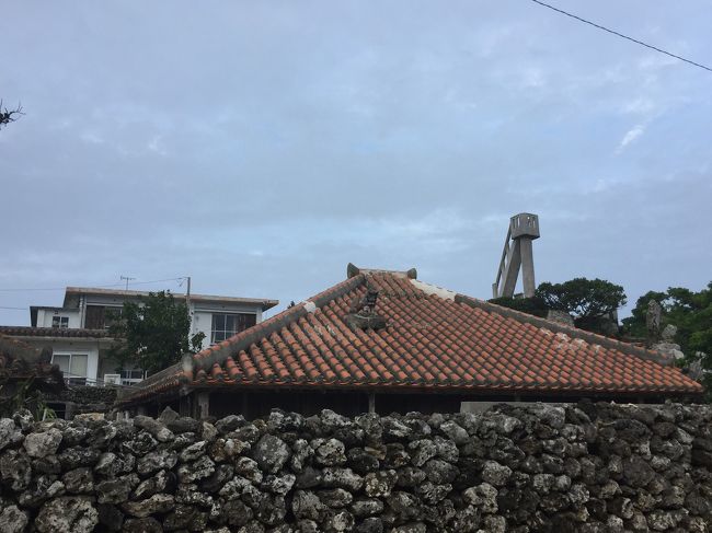 なごみの塔、ハーヤがみえる景色好き