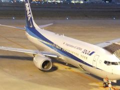 展望デッキで、自衛隊機が見られるかなと思いましたが、この日は居ませんでした。
（そんなに上手くはいかない・・・）

ＡＮＡ機。
これは我々が乗る機体ではないようでした。