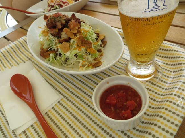 主人のタコライス＆ビール