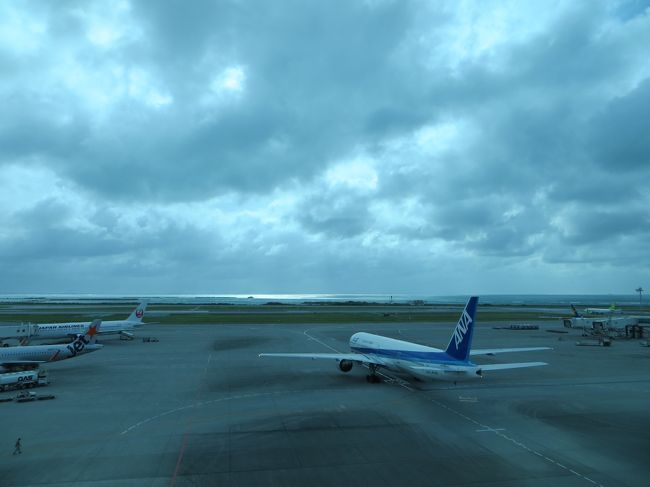 空港についてからレストランで<br /><br />いっぺーちゃんです。時間が余ってます。