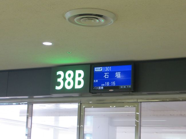 やっと石垣島へ行かれると思うだけでわくわくします。<br /><br />ですが。。。