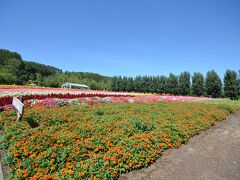 はい！到着〜〜〜！

って、もう１２時過ぎてます。。。

きれいなお花畑です〜〜〜〜〜！！！