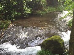 駅から徒歩10分ほどで到着した白川水源。
地元では決して見ることのできない風景が目の前に。
それにしても水が綺麗。。