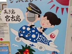 またタクシーのおじさんを呼んで、宮古島空港に戻ります。
何回もタクシーに乗っているうちに、おじさんともすっかり打ち解けて、家庭環境や昔の武勇伝まで話してくれました(笑)

定番の顔出しパネル