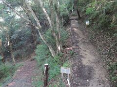 　天守閣へは、駅から約4km離れたふいご峠の駐車場から、写真のような山道を700m歩かねばなりません。
　駅からこの駐車場までの交通手段は、平日のこの時間だとタクシーだけです。430円の乗り合いタクシーもありますが、時間が合わなかったので、個人的にタクシーへ乗りました。運賃は1260円だったと思います。
　なお、私が乗った駅前のタクシー会社では、荷物の一時預かりもしてくれることを付け加えておきます。