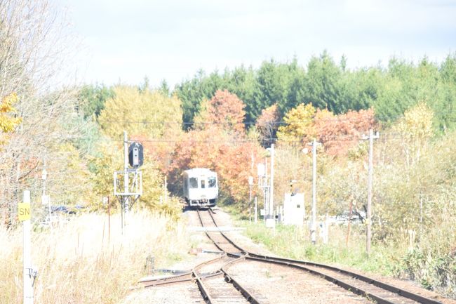 Bトレ はまなす 最終札幌行 さよなら「はまなす」』札幌(北海道)の旅行記・ブログ by あや