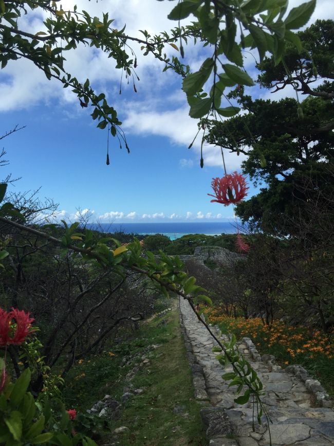 このお花の名前はなんというのだろう。ハイビスカスの仲間かな？<br /><br />ご存知の方教えてくださいませ。