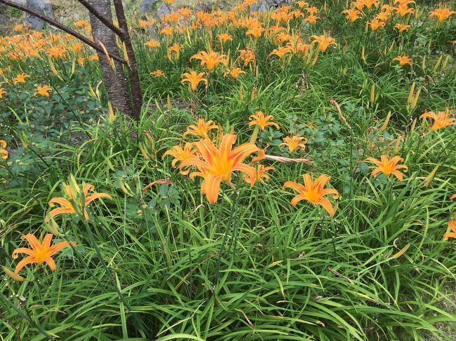 中国人、台湾人観光客が多かったです。<br />