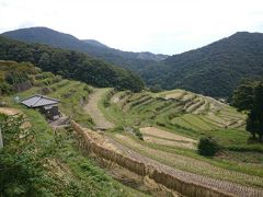 「こまめ食堂」横の坂道を進み船波製麺所まで登ると、「共同洗場」が見えてきます。６名全員が「こころ旅」を観賞していたので、皆感激していました。普通の洗濯場なのですが…(笑)
（11：21）

【こころ旅 小豆島編】http://www.nhk.or.jp/kokorotabi/route_2015autumn/20151002/index.html