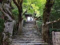 寂光院は聖徳太子が、創建したと言われていて、かなり古くからあったとされています。
でも、平家滅亡の壇ノ浦の戦いで、安徳天皇と入水自殺しながら、1人生き残ってしまった悲劇の女性、建礼門院が隠棲したことがあまりにも有名です。
