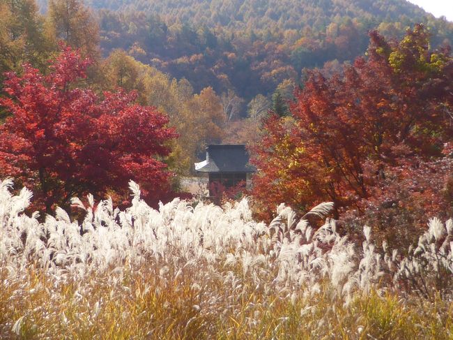 15 美しすぎる横谷峡の紅葉に心奪われる 白樺湖 蓼科 車山 長野県 の旅行記 ブログ By きしゆめさん フォートラベル 15 美しすぎる横谷峡の紅葉に心奪われる 白樺湖 蓼科 車山 長野県 の旅行記 ブログ By きしゆめさん フォートラベル