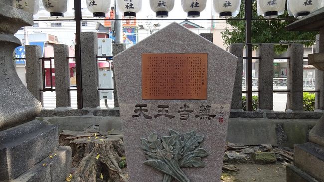 天王寺蕪（安倍王子神社内）