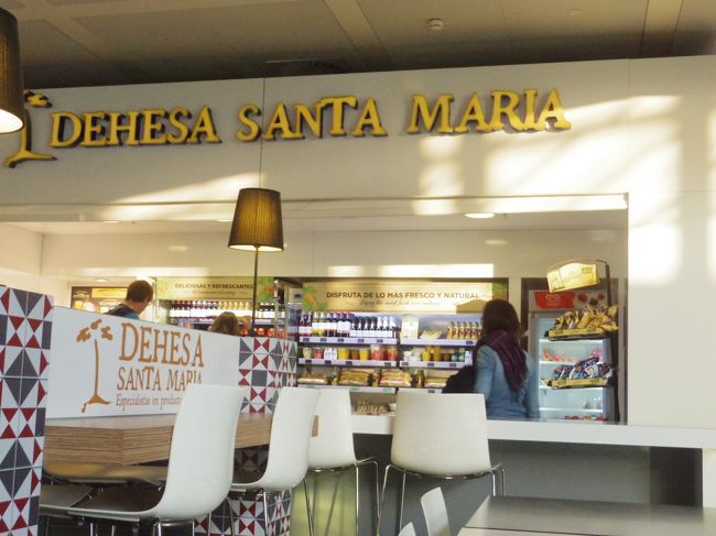 翌朝、９：４５発、パリ行きの飛行機に乗ります。<br />７時半過ぎにマラガ空港に到着。<br />チェックインカウンターが１つだけ開いていて、私の番が来る前に３ヵ所開きました。その時には既に長蛇の列。<br />やっぱり早く行った方が良いわ。<br /><br />パリまではLCC。機内食出ないから、ここで何か食べよう。