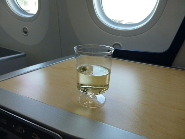 離陸の前に、おしぼりとスパークリングワインをいただきました。