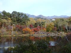 池の紅葉スポットはお客さんでいっぱい。