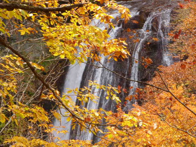 15 美しすぎる横谷峡の紅葉に心奪われる 白樺湖 蓼科 車山 長野県 の旅行記 ブログ By きしゆめさん フォートラベル 15 美しすぎる横谷峡の紅葉に心奪われる 白樺湖 蓼科 車山 長野県 の旅行記 ブログ By きしゆめさん フォートラベル