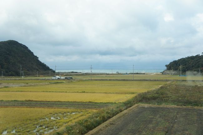 見渡す限りの田んぼ！