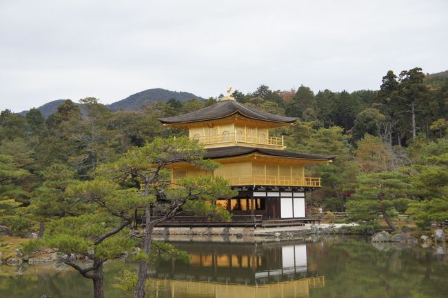 はじめての金閣寺。<br /><br />じつはこれまで京都へ来ても、あまり観光をしたことがなかった私。<br />ついつい食へ走ってしまい、観光は後回しにしていたのです。<br />