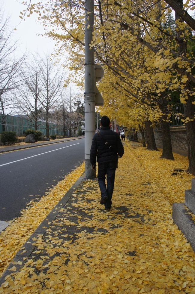 落ち葉のジュウタンを踏みながら、続いては今宮神社へ。<br /><br />