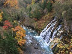 白金温泉にある「白ひげの滝」

ここも周りの木々が紅葉をむかえていました！