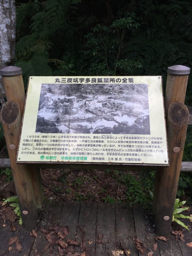 第十七章あみんちゅ戦争を学ぶ旅～西表島：宇多良（うたら）炭坑