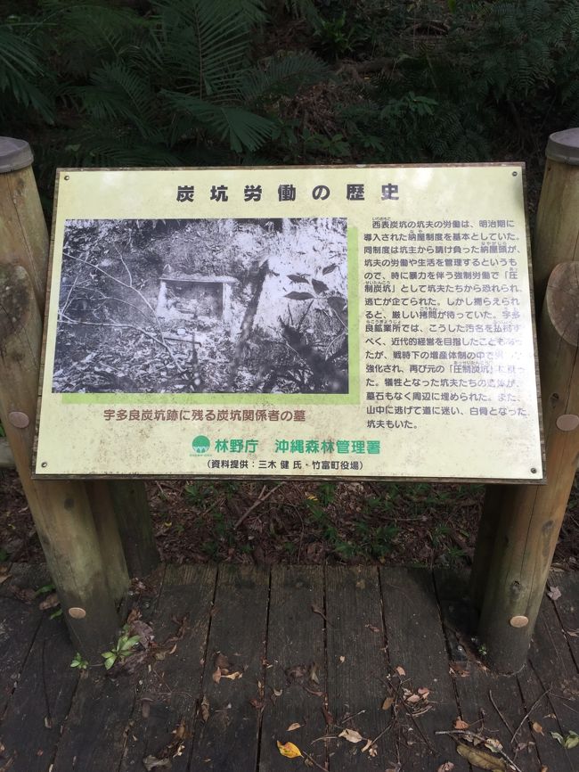 西表炭坑史料集成 【沖縄・琉球・歴史・文化・八重山】(◎編者
