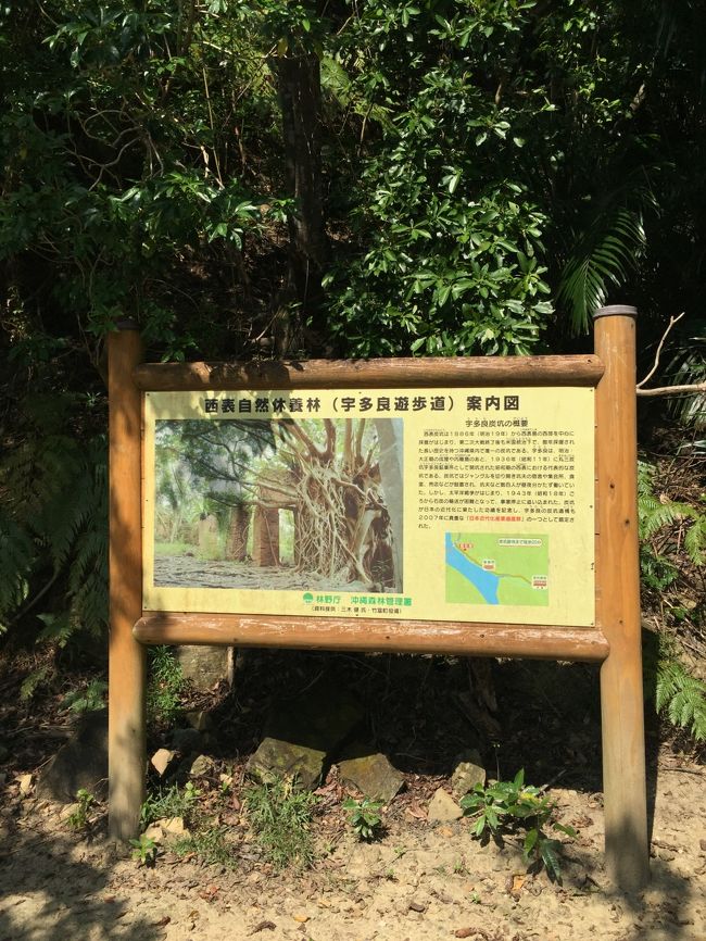 西表炭坑史料集成 【沖縄・琉球・歴史・文化・八重山】(◎編者