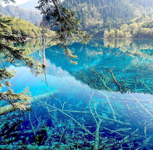 中国の絶景 九寨溝 黄龍 魔鬼城 神秘の湖沼群 シルクロードの秘境を旅する [DVD] Amazon.co.jp: 中国の絶景 九寨溝 黄龍 魔鬼城 神秘の湖沼群