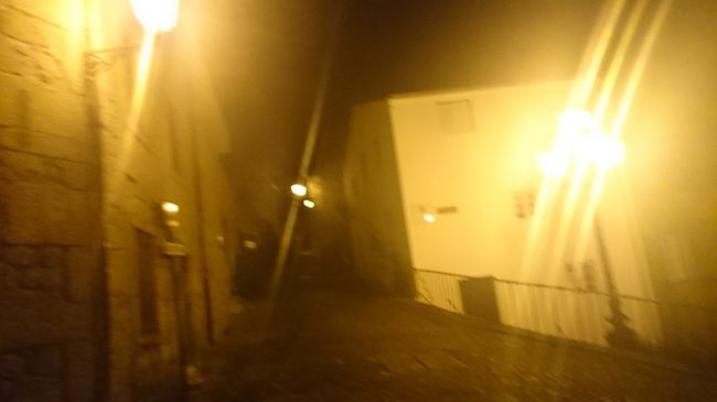 9/30　モンサントからリスボンへ帰る。<br />　　　夜は病院へ。