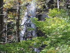 奥入瀬渓流　白糸の滝